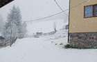 Case si teren de vanzare ALBAC, ALBA - 2