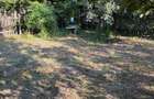 67500 EURO NEGOCIABIL Vand teren str. Carpenului 500 mp - 1