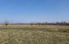 Teren intravilan 4700m2 Culcea periferie, Com. Sacalaseni - parcelabil - 5