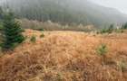 Vand teren Com Ciocanesti , sat Botos ,jud. Suceava