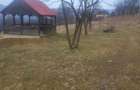 Vand teren intravilan in Moisei Maramures - 5