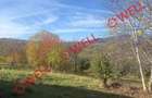 Casa de vanzare in Sohodol, Bran, cu teren de 4.831 m2!