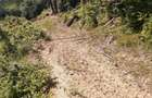 Teren extravilan, padure, 20.000mp2, Posesti Prahova - 3
