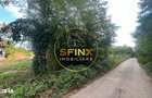 Teren intravilan 2.500 mp | Snagov | Padure I Drum asfaltat - 1