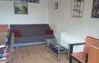 Apartament 2 camere Turnisor - 5