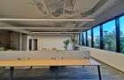 Herastrau exclusivist office 160mp - 8