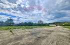 Teren intravilan 36.812 mp | Aiud, str. Izvorului | Alba - 7
