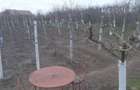 Teren de 966 mp, în Păuca - 2
