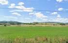 Teren agricol intre Maierus si Apata - 1,1 Ha - 1