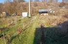 Casa + 20 arii teren, distanta 30 km de Bistrita - 5
