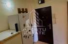 Apartament cu 2 camere de inchiriat - Complex Studentesc, Timisoara - 6