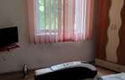 Casa de vanzare com. Florica - 14