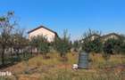 De vanzare casa in localitatea Covaci - Jud. Timis - 2