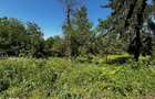 Teren doua loturi 3100/14 mp. - 2800/12 mp. Daesti - Valcea - 3