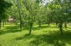 Teren de vanzare, Prahova, Comarnic, str. Podu Lung nr. 69, 1000mp - 4