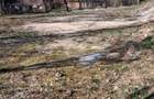Vand teren intravilan sat Paulis comuna Soimus - 3