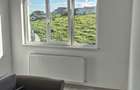 Apartament 2 camere decomandat, Visan - curba Str. Sf. Ilie - 7