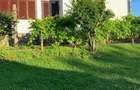 Casa - garaj - curte - 5