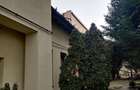 Vilă interbelică și teren 684 mp zona Viilor/Parcul Carol