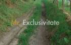 Teren extravilan Pitesti - str. Balotesi!! - Pitesti (Arges) - 9