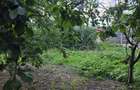 Casă cu potențial, 4 camere, lângă pădure-Jud Giurgiu-Mihai Bravu. - 8