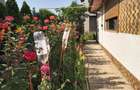 CASA P+1 | ZONA KM 5 | CONSTRUCTIE NOUA - 17