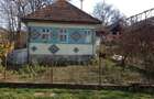 Casa si anexe, teren 5000 mp Mineu, Salaj - 3