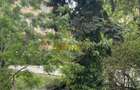 APARTAMENT ULTRACENTAL,Sala Palatului - 7