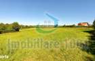Teren intravilan Carbunari, parcele 11, 20, 22 arii, acces drum public - 7
