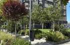 Studio - Comat Towers - TIP 9 - 38mp - Pacurari Dacia