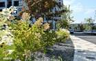 Comision 0%! Prima inchiriere - Apartament 2 camere, Columna Residence - 14