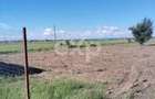 Teren de vanzare Bradu, Arges | 303 mp | 9.900 - 2