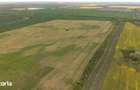 Teren investi?ional strategic 44.700 mp Arad Vest - 9