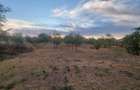 Casa de vanzare in Seitin, Arad teren 2.100 mp 35.000 DIRECT PROPRIETAR - 3