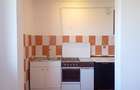 Apartament 2 camere mansarda | G. Enescu | 2c-7956