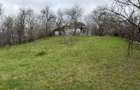 Teren intravilan 1518 mp, constructie, Sotrile, Prahova - 24 EURmp - 1