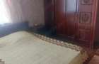 Casa de vanzare Dr Tr Severin - 2