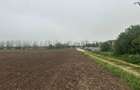 Teren de Vanzare | in zona 23 August - Olimp | 600 mp | Int - 2