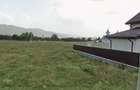 Teren intravilan 15.000 mp Comanesti - 1