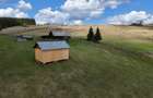 Teren de vanzare 15 hectare in Bucovina Moldova Sulita zona Lucina - 9