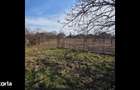 Casa cu Teren Generos. De Locuit sau Afacere. Ro?iori Bihor (DN19) - 2