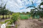 Casa in Draut aproape de Casoaia cu teren 864 mp, mobilata utilata - 17