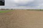 Teren intravilan platare?ti-calara?i (18km bucure?ti) - 4400mp - 3