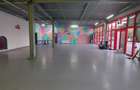 Bragadiru,parter, stradal, 360 m.p, comercial, depozitare, showroom. - 7