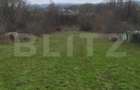 Teren intravilan 3000mp ,sat Plopu, Prahova - 4