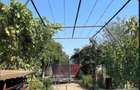 Casă cu 3 camere cu Teren 2498 Mp în Amărăști - 1