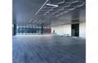 Inchiriere depozit hala spatiu industrial showroom Afumati - DN2 - Dorally, Ilfov - 15