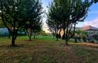 Teren intravilan 1.200+ mp | Livada & Acces privat 7m | Salcioara - Jurilovca - 2