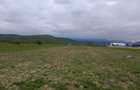 Teren Talmaciu 7,000 mp acces drum national - 2