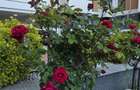 Apartament Central Adress Residence - 4